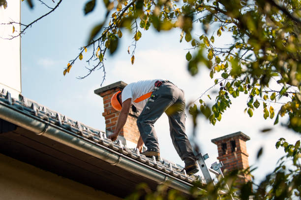 Best Storm Damage Roof Repair  in Blakely, PA