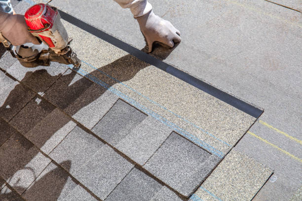 Best Roof Gutter Cleaning  in Blakely, PA