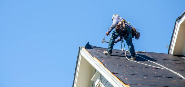 Best Roof Gutter Cleaning  in Blakely, PA